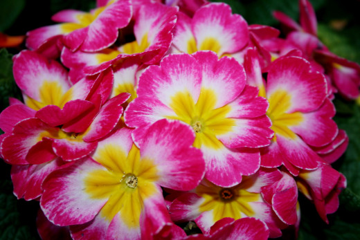 755667 (a): :2048x1365